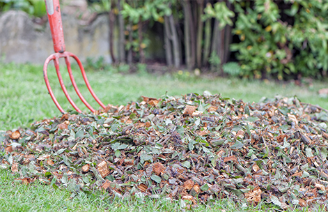 déchets verts