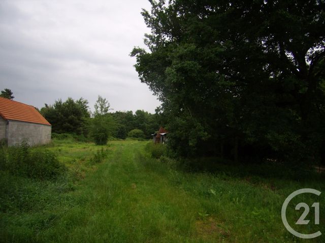 terrain à vendre - 10056.0 m2 - LA FERTE IMBAULT - 41 - CENTRE - Century 21 Sologne Immobilier terrain à vendre - 10056.0 m2 - LA FERTE IMBAULT - 41 - CENTRE - Century 21 Sologne Immobilier