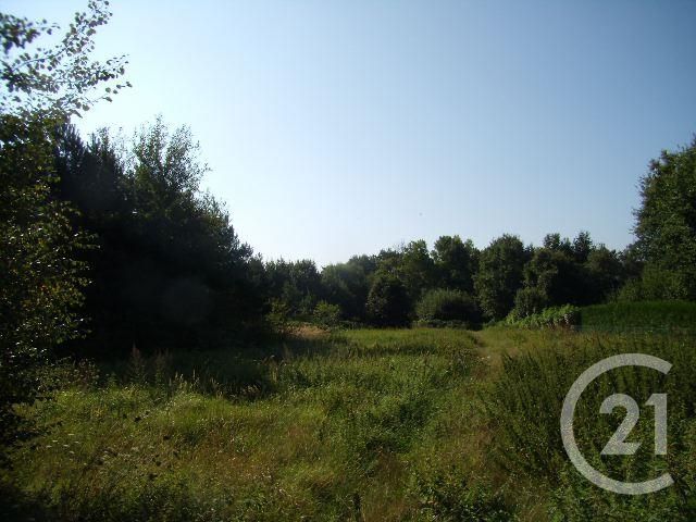 terrain à vendre - 10056.0 m2 - LA FERTE IMBAULT - 41 - CENTRE - Century 21 Sologne Immobilier terrain à vendre - 10056.0 m2 - LA FERTE IMBAULT - 41 - CENTRE - Century 21 Sologne Immobilier