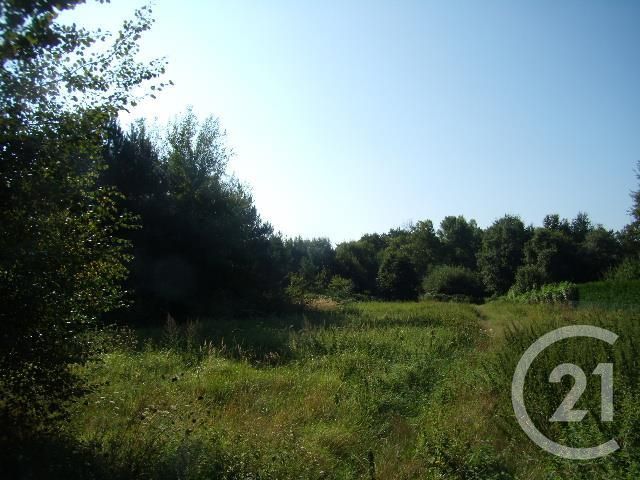terrain à vendre - 10056.0 m2 - LA FERTE IMBAULT - 41 - CENTRE - Century 21 Sologne Immobilier terrain à vendre - 10056.0 m2 - LA FERTE IMBAULT - 41 - CENTRE - Century 21 Sologne Immobilier