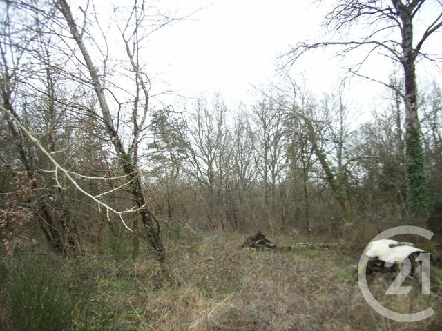 terrain à vendre - 10056.0 m2 - LA FERTE IMBAULT - 41 - CENTRE - Century 21 Sologne Immobilier terrain à vendre - 10056.0 m2 - LA FERTE IMBAULT - 41 - CENTRE - Century 21 Sologne Immobilier