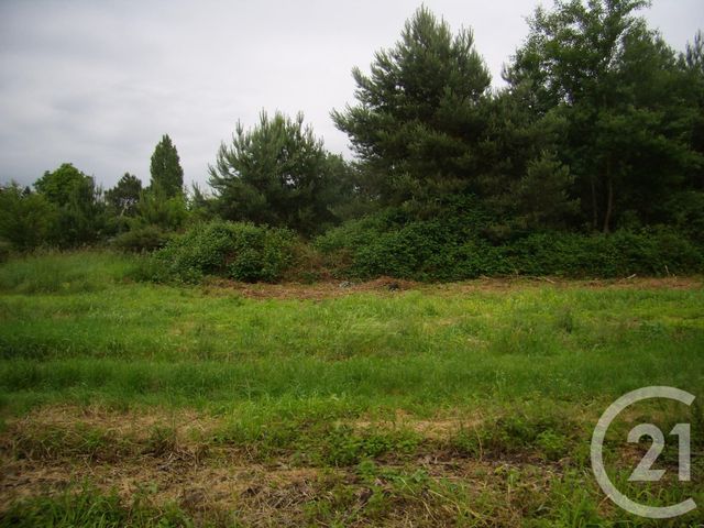terrain à vendre - 10056.0 m2 - LA FERTE IMBAULT - 41 - CENTRE - Century 21 Sologne Immobilier terrain à vendre - 10056.0 m2 - LA FERTE IMBAULT - 41 - CENTRE - Century 21 Sologne Immobilier