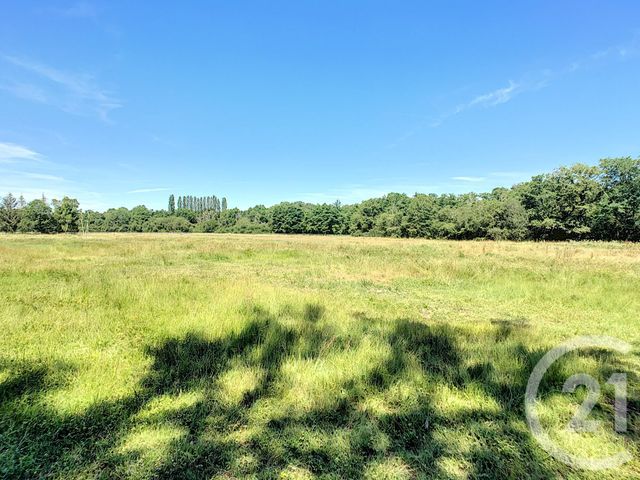 maison à vendre - 7 pièces - 214.0 m2 - NEUVY SUR BARANGEON - 18 - CENTRE - Century 21 Sologne Immobilier