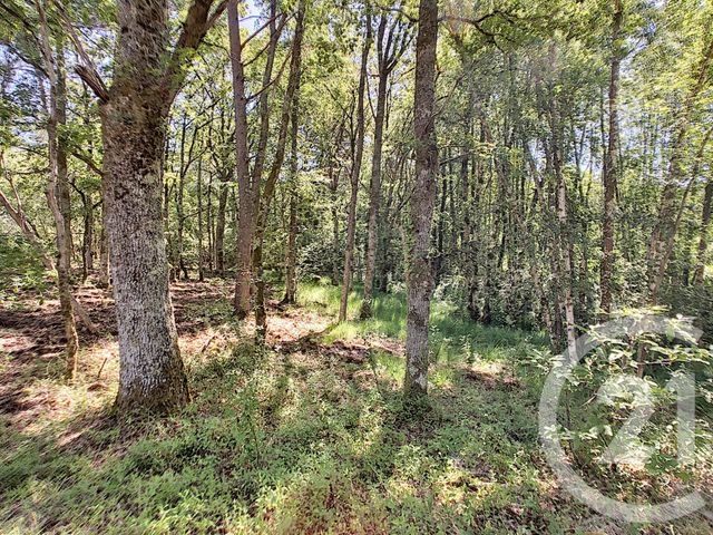 maison à vendre - 7 pièces - 214.0 m2 - NEUVY SUR BARANGEON - 18 - CENTRE - Century 21 Sologne Immobilier