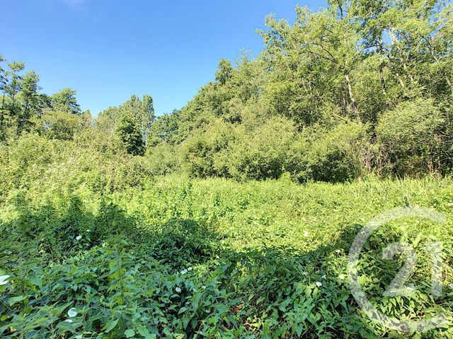 maison à vendre - 7 pièces - 214.0 m2 - NEUVY SUR BARANGEON - 18 - CENTRE - Century 21 Sologne Immobilier