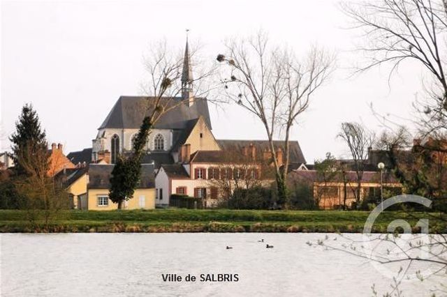 Afficher la photo en grand maison à vendre - 3 pièces - 47.8 m2 - SALBRIS - 41 - CENTRE - Century 21 Sologne Immobilier