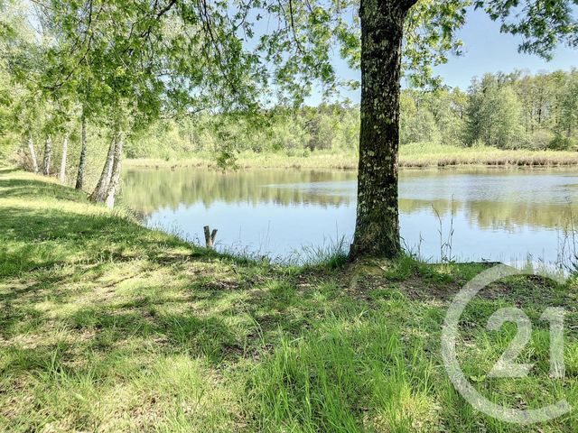 maison à vendre - 3 pièces - 70.2 m2 - STE MONTAINE - 18 - CENTRE - Century 21 Sologne Immobilier