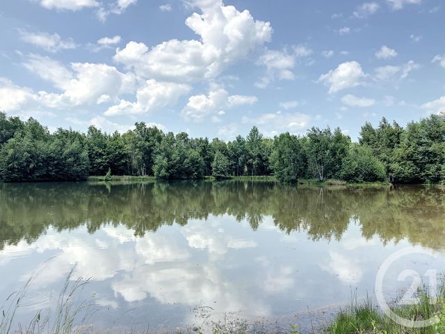 terrain - NEUVY SUR BARANGEON - 18