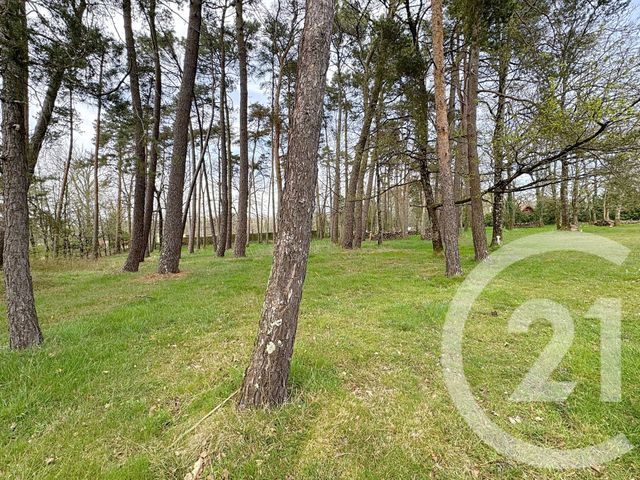 Afficher la photo en grand maison à vendre - 9 pièces - 195.2 m2 - THEILLAY - 41 - CENTRE - Century 21 Sologne Immobilier