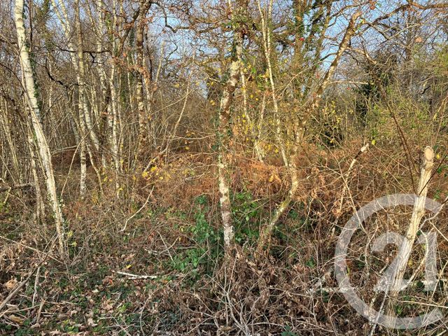 Afficher la photo en grand maison à vendre - 8 pièces - 247.0 m2 - VOUZON - 41 - CENTRE - Century 21 Sologne Immobilier