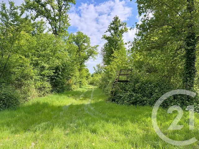 Afficher la photo en grand maison à vendre - 15 pièces - 235.0 m2 - 41 - CENTRE - Century 21 Sologne Immobilier