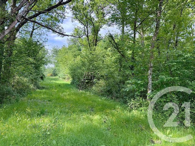 Afficher la photo en grand maison à vendre - 15 pièces - 235.0 m2 - 41 - CENTRE - Century 21 Sologne Immobilier