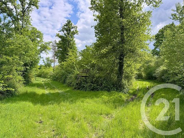 Afficher la photo en grand maison à vendre - 15 pièces - 235.0 m2 - 41 - CENTRE - Century 21 Sologne Immobilier