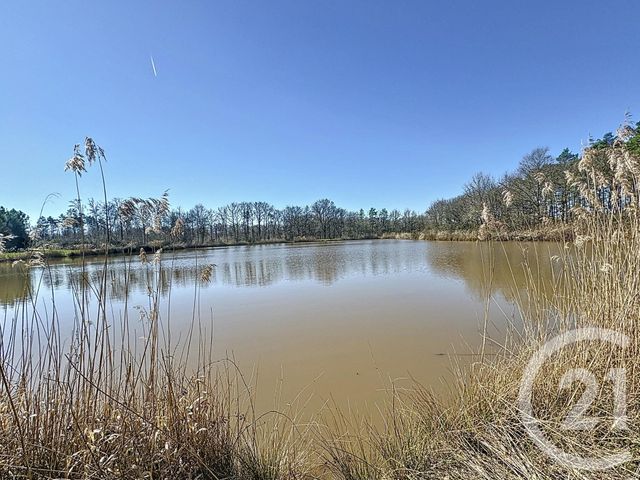 terrain à vendre - 25600.0 m2 - VEILLEINS - 41 - CENTRE - Century 21 Sologne Immobilier