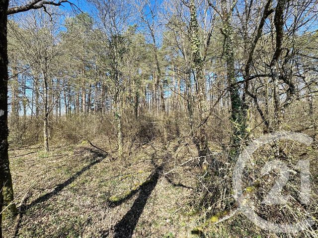 terrain à vendre - 25600.0 m2 - VEILLEINS - 41 - CENTRE - Century 21 Sologne Immobilier