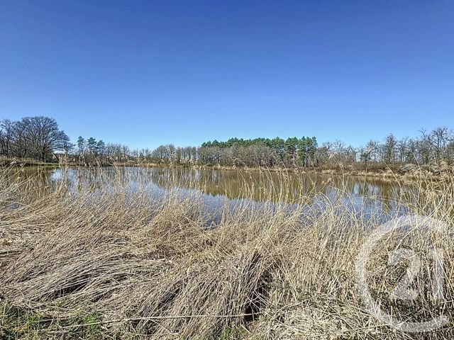 terrain à vendre - 25600.0 m2 - VEILLEINS - 41 - CENTRE - Century 21 Sologne Immobilier