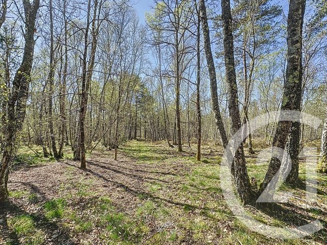 maison à vendre - 6 pièces - 204.3 m2 - NANCAY - 18 - CENTRE - Century 21 Sologne Immobilier