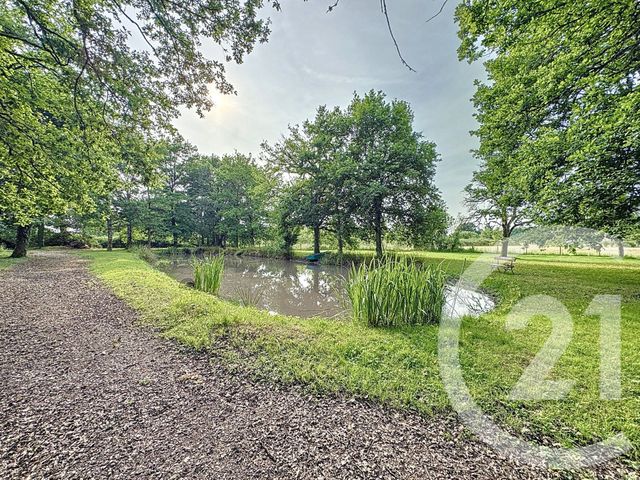 maison à vendre - 6 pièces - 211.1 m2 - SELLES ST DENIS - 41 - CENTRE - Century 21 Sologne Immobilier