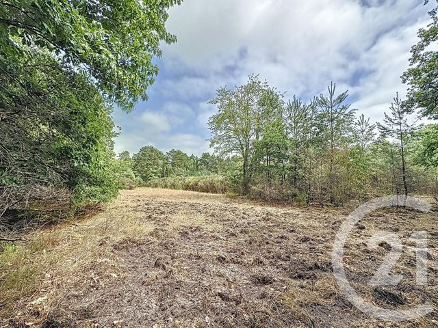 maison à vendre - 14 pièces - 344.0 m2 - SOUESMES - 41 - CENTRE - Century 21 Sologne Immobilier