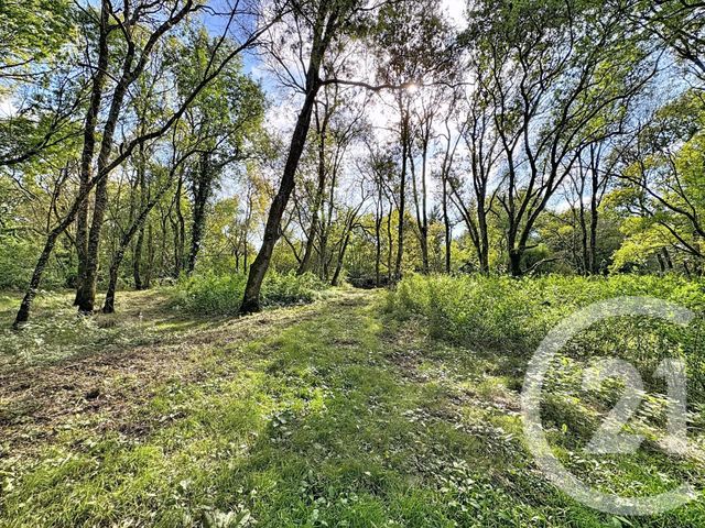 maison à vendre - 8 pièces - 219.44 m2 - LA FERTE IMBAULT - 41 - CENTRE - Century 21 Sologne Immobilier