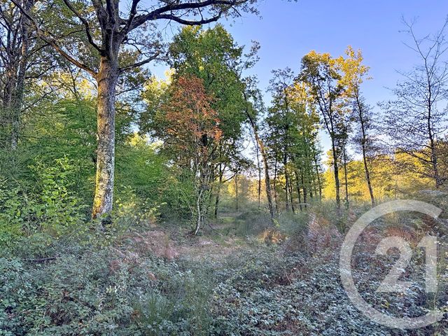 Afficher la photo en grand maison à vendre - 24 pièces - 869.7 m2 - 18 - CENTRE - Century 21 Sologne Immobilier