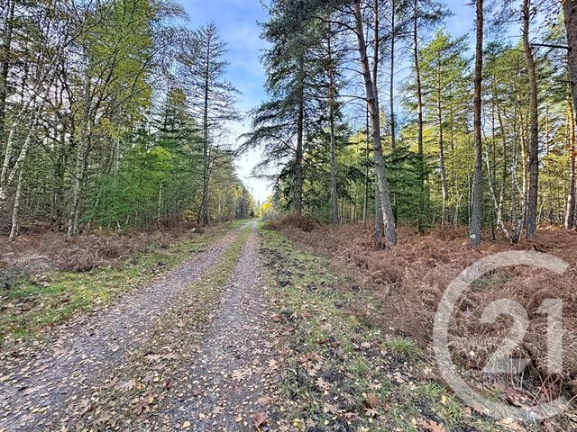 maison à vendre - 13 pièces - 289.0 m2 - LAMOTTE BEUVRON - 41 - CENTRE - Century 21 Sologne Immobilier