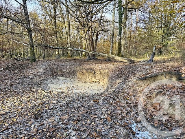 maison à vendre - 13 pièces - 289.0 m2 - LAMOTTE BEUVRON - 41 - CENTRE - Century 21 Sologne Immobilier