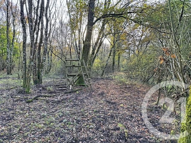 maison à vendre - 13 pièces - 289.0 m2 - LAMOTTE BEUVRON - 41 - CENTRE - Century 21 Sologne Immobilier