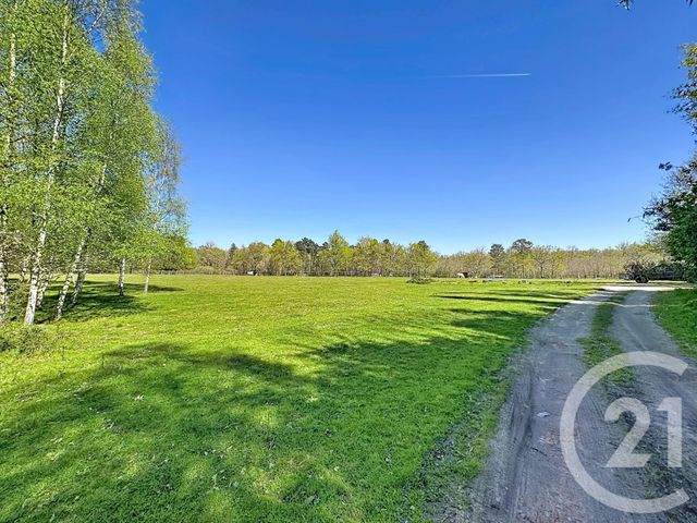 maison à vendre - 9 pièces - 193.0 m2 - VOUZON - 41 - CENTRE - Century 21 Sologne Immobilier