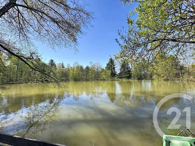 maison à vendre - 9 pièces - 193.0 m2 - VOUZON - 41 - CENTRE - Century 21 Sologne Immobilier