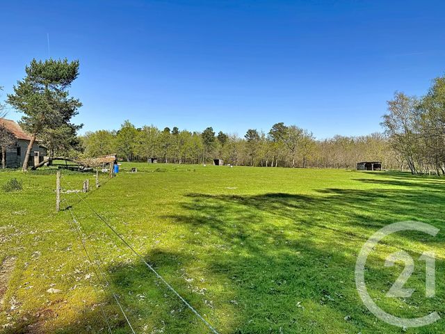 maison à vendre - 9 pièces - 193.0 m2 - VOUZON - 41 - CENTRE - Century 21 Sologne Immobilier