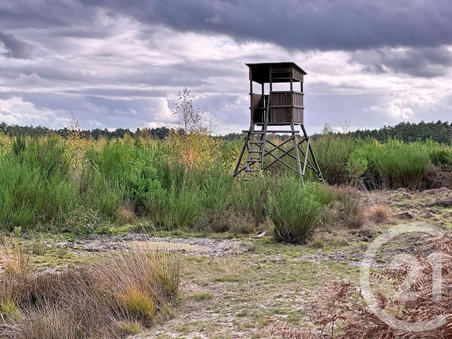maison à vendre - 10 pièces - 500.0 m2 - SOUESMES - 41 - CENTRE - Century 21 Sologne Immobilier