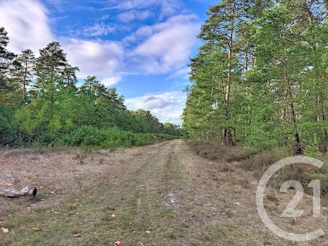 maison à vendre - 10 pièces - 500.0 m2 - SOUESMES - 41 - CENTRE - Century 21 Sologne Immobilier