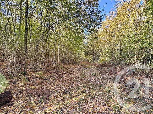 maison à vendre - 10 pièces - 500.0 m2 - SOUESMES - 41 - CENTRE - Century 21 Sologne Immobilier