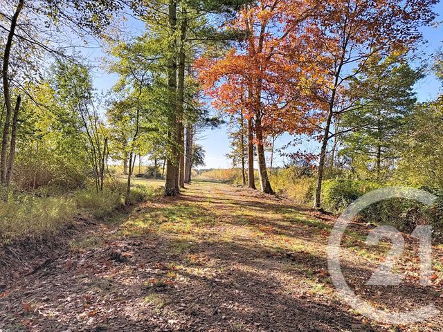 maison à vendre - 10 pièces - 500.0 m2 - SOUESMES - 41 - CENTRE - Century 21 Sologne Immobilier