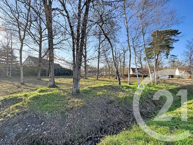 terrain à vendre - 1888.0 m2 - NANCAY - 18 - CENTRE - Century 21 Sologne Immobilier