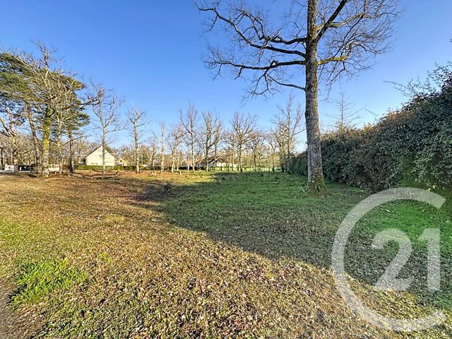 terrain à vendre - 1888.0 m2 - NANCAY - 18 - CENTRE - Century 21 Sologne Immobilier