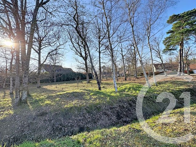 terrain à vendre - 1888.0 m2 - NANCAY - 18 - CENTRE - Century 21 Sologne Immobilier