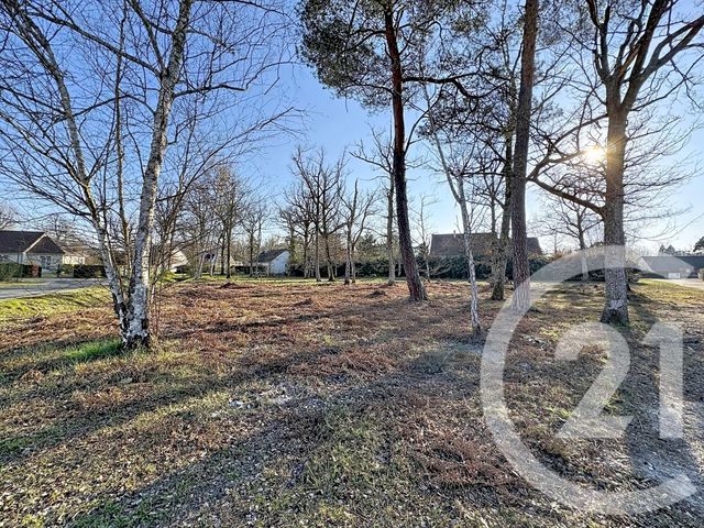 terrain - NANCAY - 18