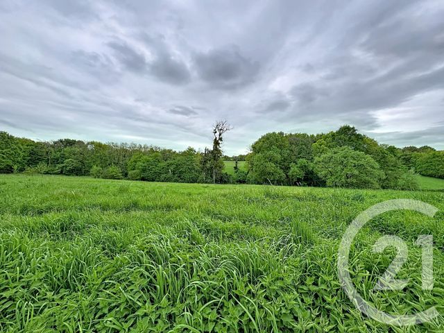 maison à vendre - 3 pièces - 75.1 m2 - CHATRES SUR CHER - 41 - CENTRE - Century 21 Sologne Immobilier