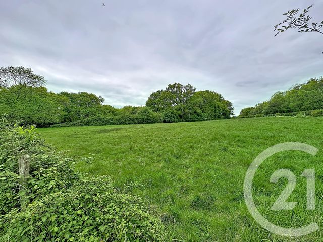 maison à vendre - 3 pièces - 75.1 m2 - CHATRES SUR CHER - 41 - CENTRE - Century 21 Sologne Immobilier
