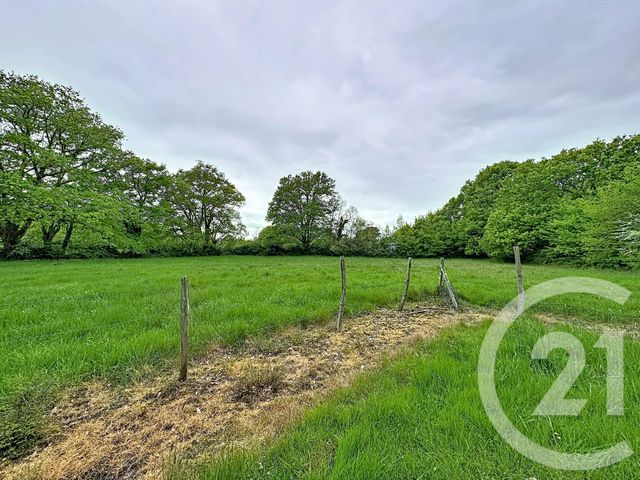 maison à vendre - 3 pièces - 75.1 m2 - CHATRES SUR CHER - 41 - CENTRE - Century 21 Sologne Immobilier
