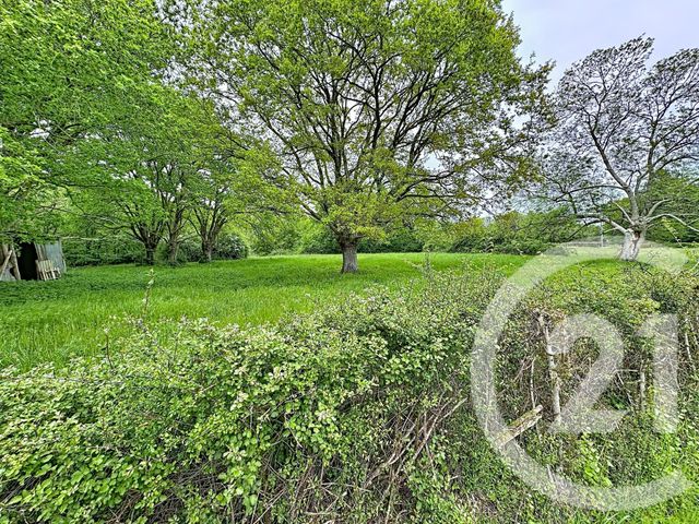maison à vendre - 3 pièces - 75.1 m2 - CHATRES SUR CHER - 41 - CENTRE - Century 21 Sologne Immobilier