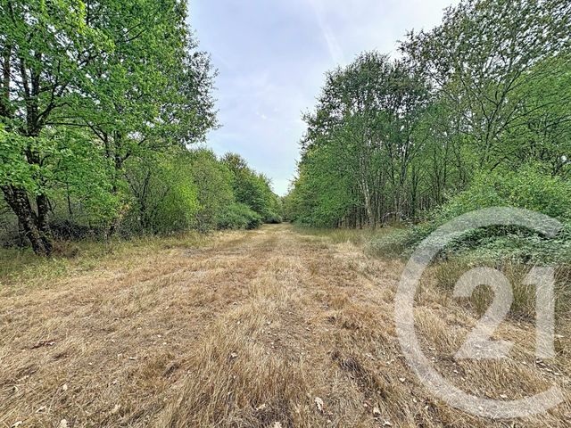 maison à vendre - 3 pièces - 116.51 m2 - MARCILLY EN GAULT - 41 - CENTRE - Century 21 Sologne Immobilier