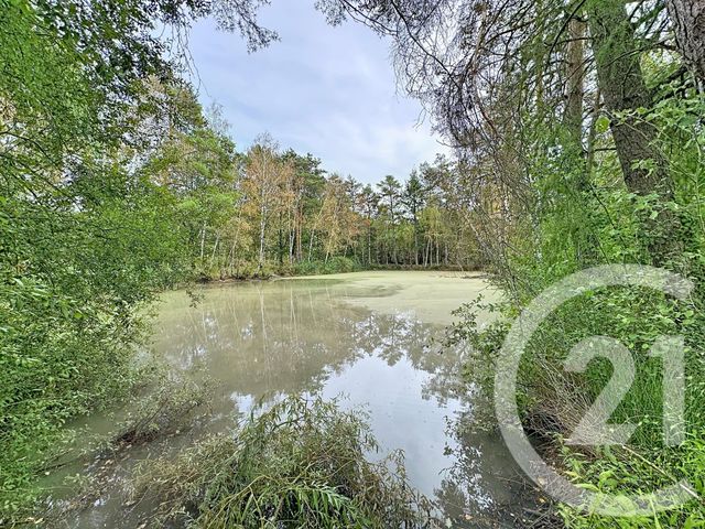 maison à vendre - 3 pièces - 116.51 m2 - MARCILLY EN GAULT - 41 - CENTRE - Century 21 Sologne Immobilier